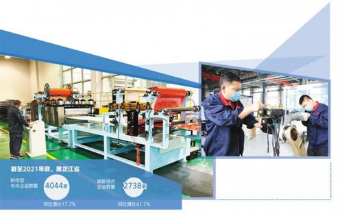 續寫春天的故事 黑龍江多措并舉營造良好環境